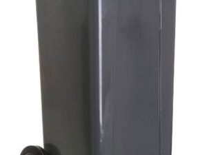 CONTAINER  120 LT COM RODA